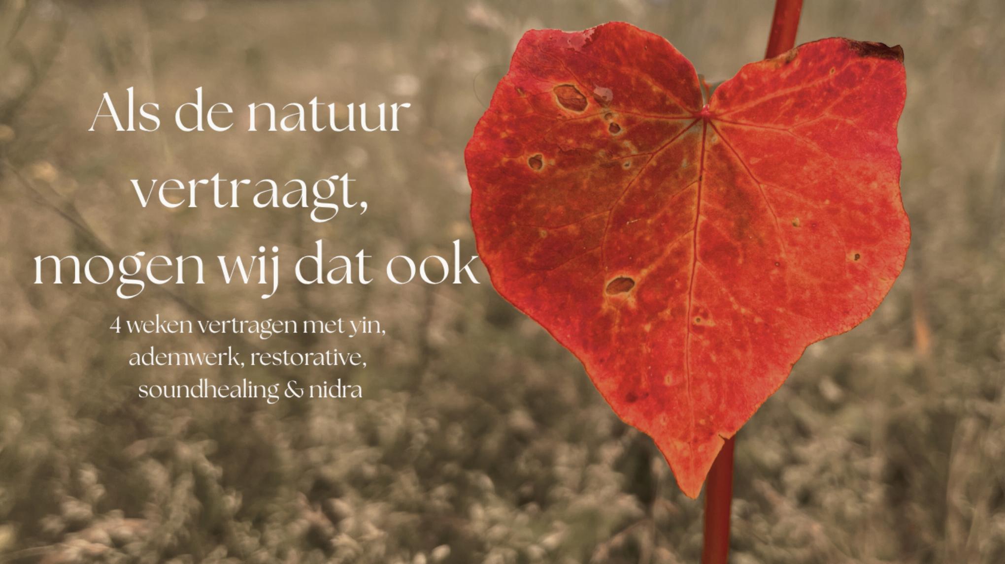 Ontspan, Vertraag & Vernieuw  🍂 4-weekse Relax Special!