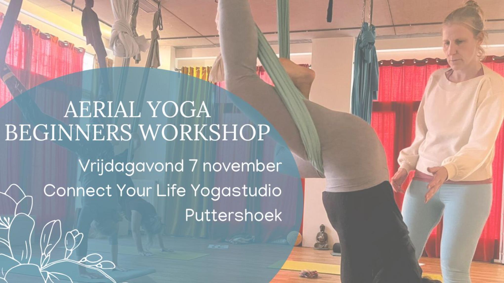 Aerial yoga beginners workshop