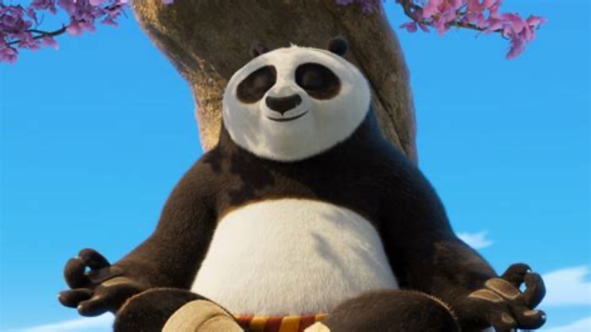 Movie Night: "Kung Fu Panda"