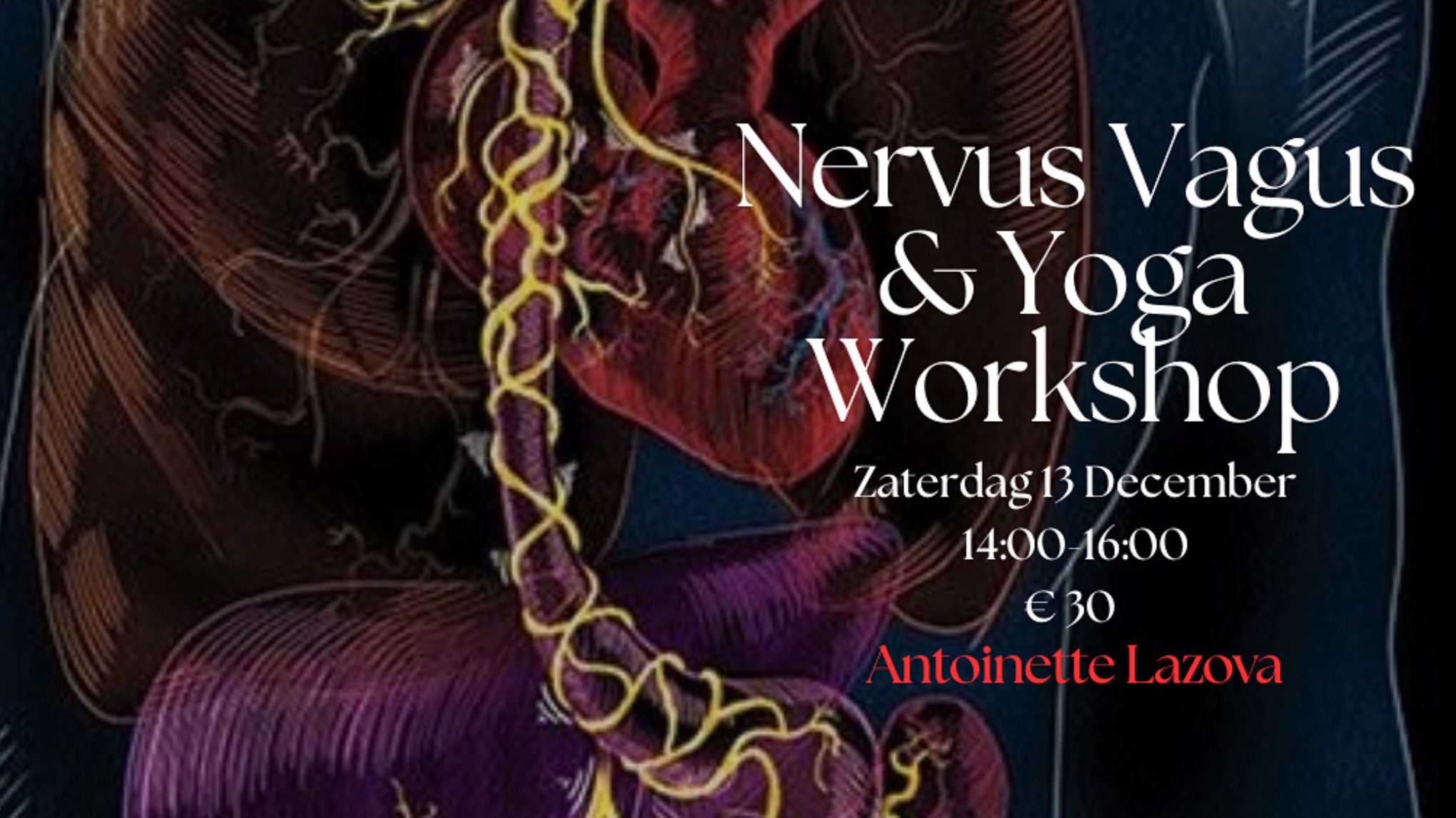 Nervus Vagus & Yoga Workshop