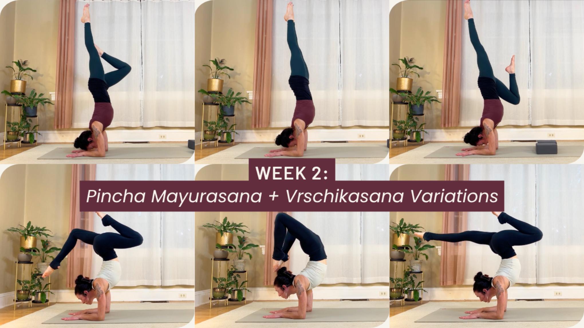 LIVESTREAM (Week 2:4) Level Up Your Inversions! 4-Wk Workshop Series