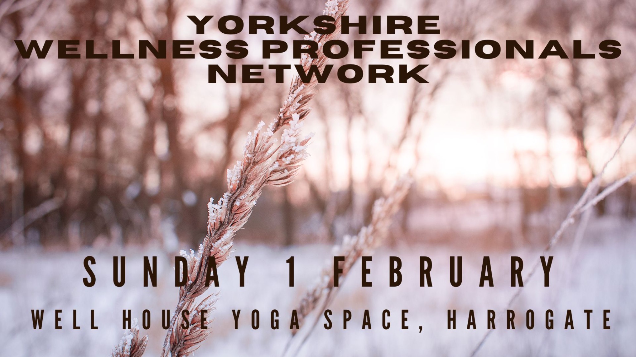 Yorkshire Wellness Professionals Network - February