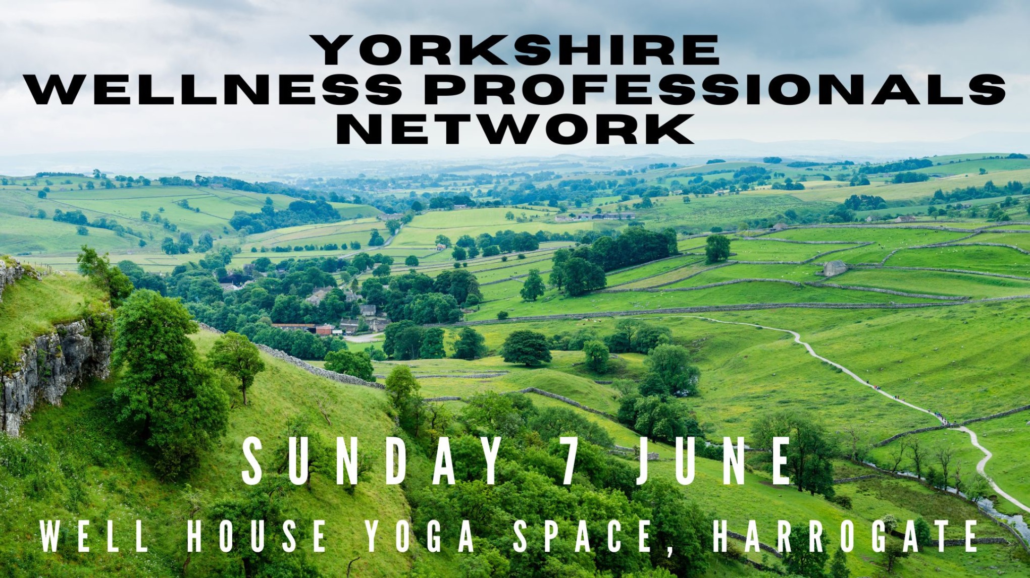 Yorkshire Wellness Professionals Network  - June