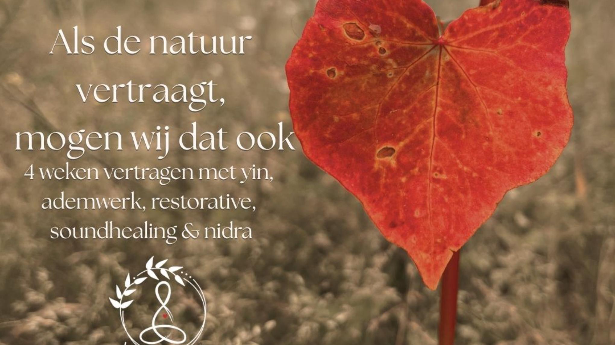🍁 RELAX SPECIAL 🍂 Ontspan, Vertraag & Vernieuw 🍂 4-weekse Relax Special!