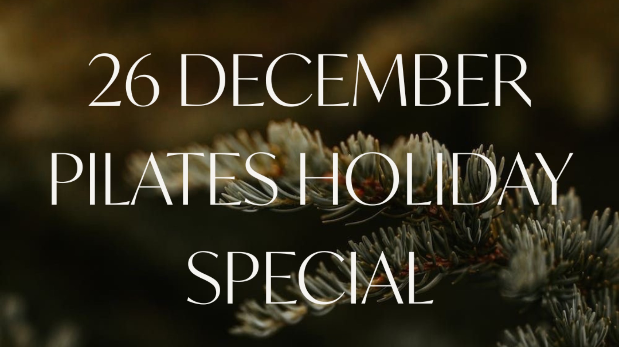 TWEEDE KERSTDAG Holiday Special by Sara