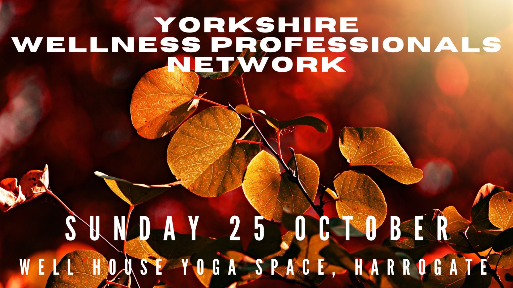 Yorkshire Wellness Professionals Network - October