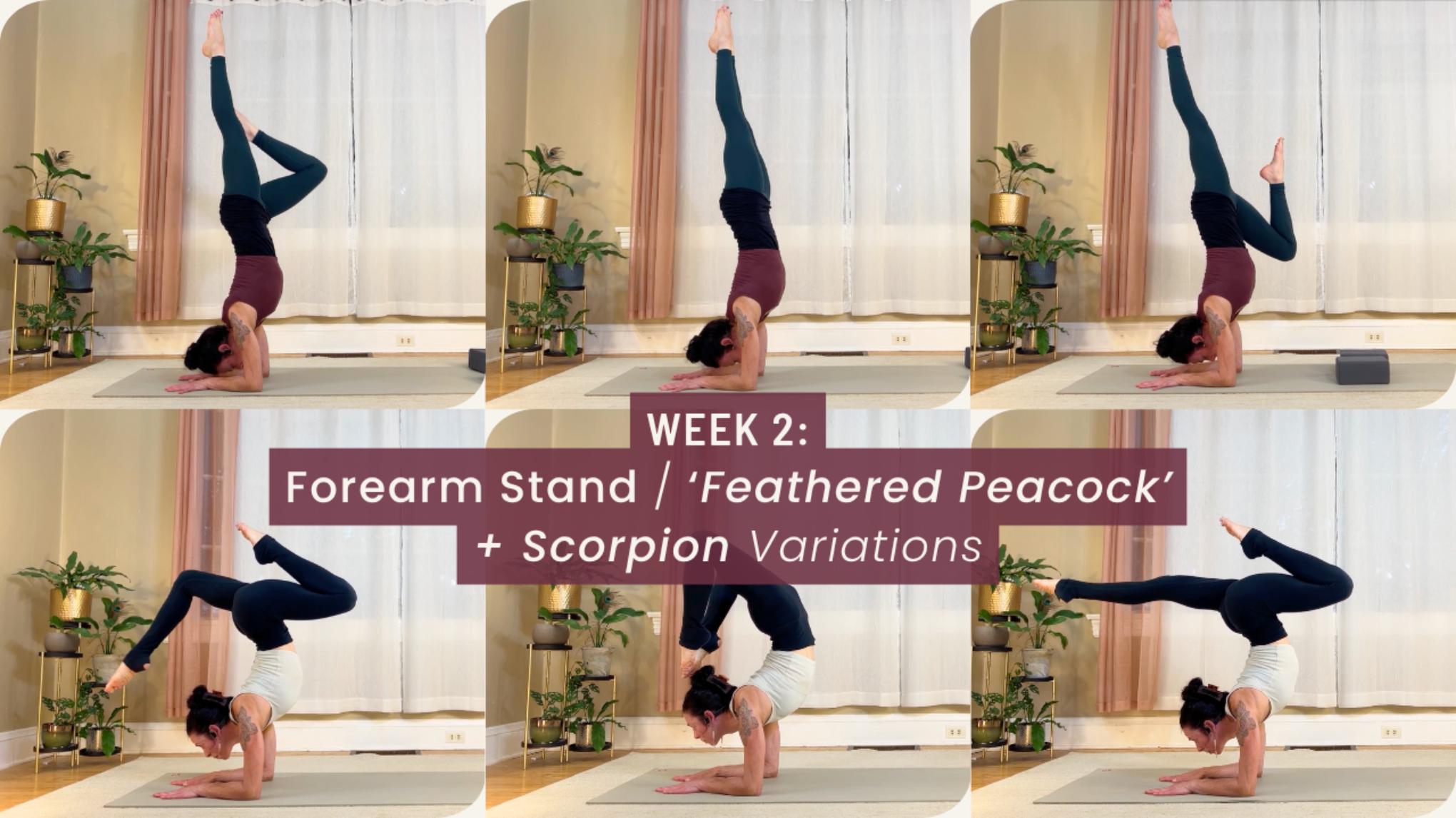 IN-PERSON (Week 2:4) Level Up Your Inversions! 4-Wk Workshop Series
