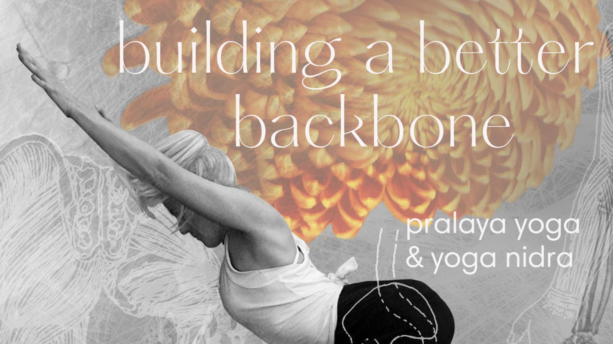 🌳 Building a Better Backbone — Workshop met Wilfrieda