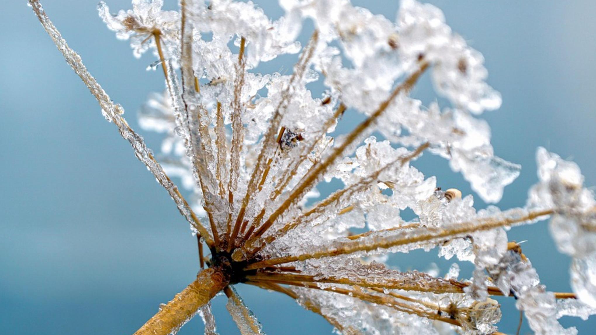 YIN XL 21 december winterzonnewende