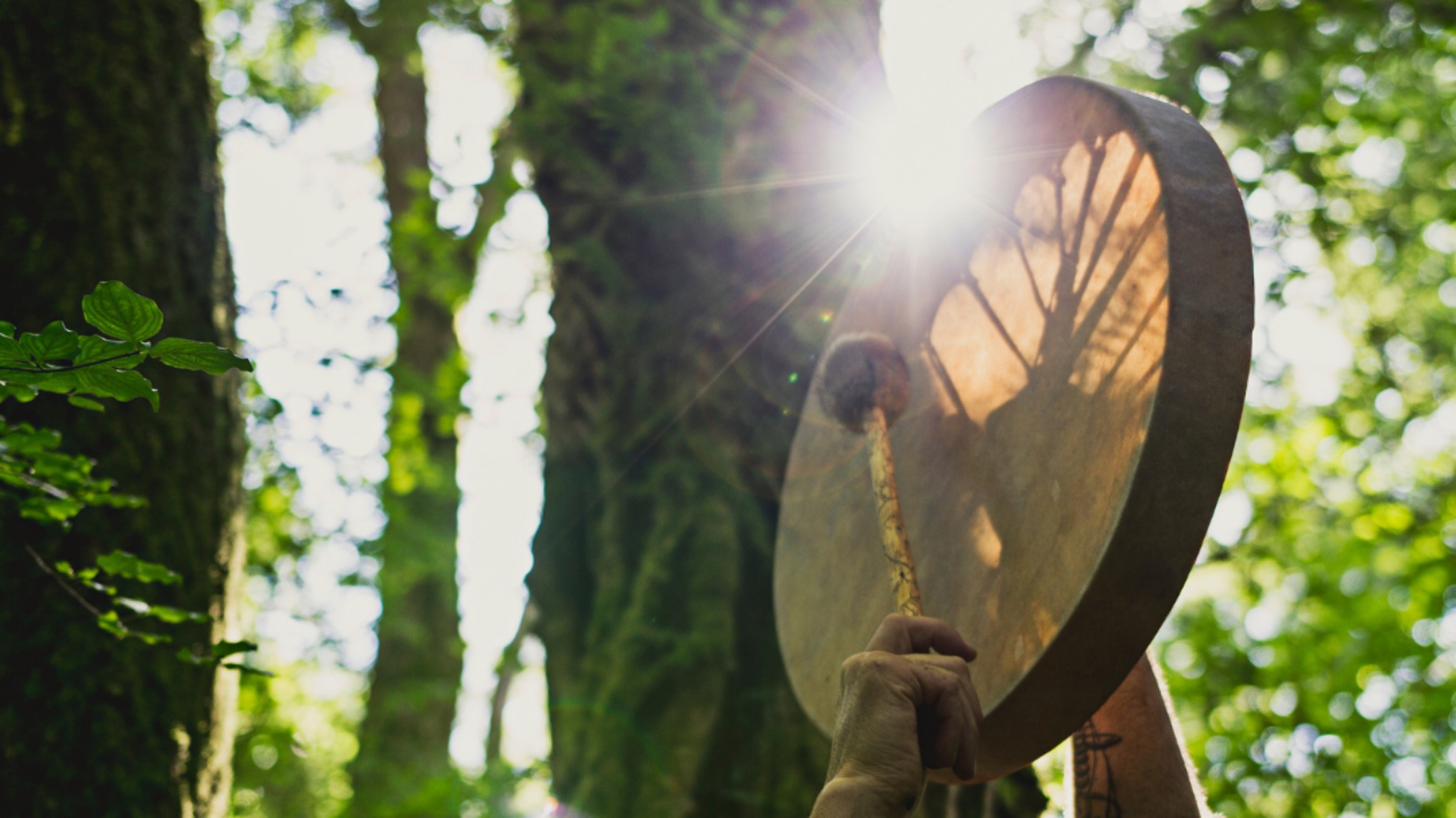 SPECIAL! Stress & Trauma release sessie MET Magical Healing Drum & Cacao