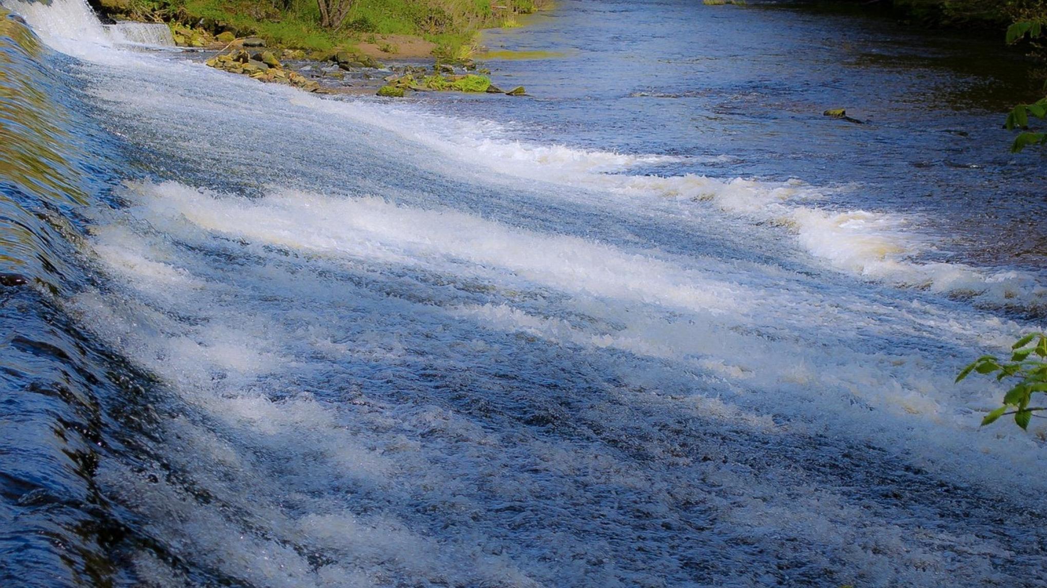 Workshop: Yoga der Elemente 2026 - Wasser