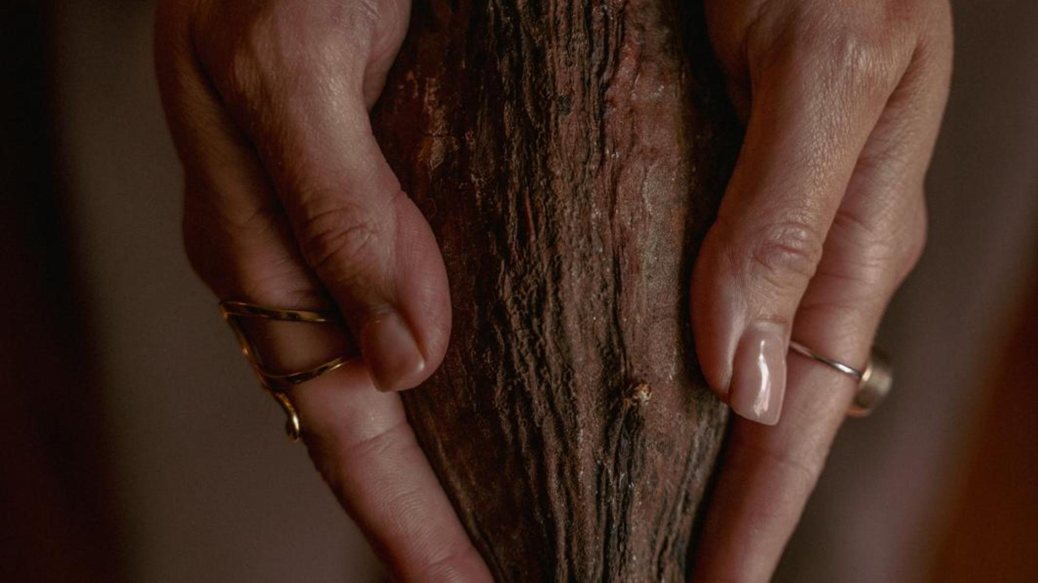 Womb Healing & Cacao Ceremonie