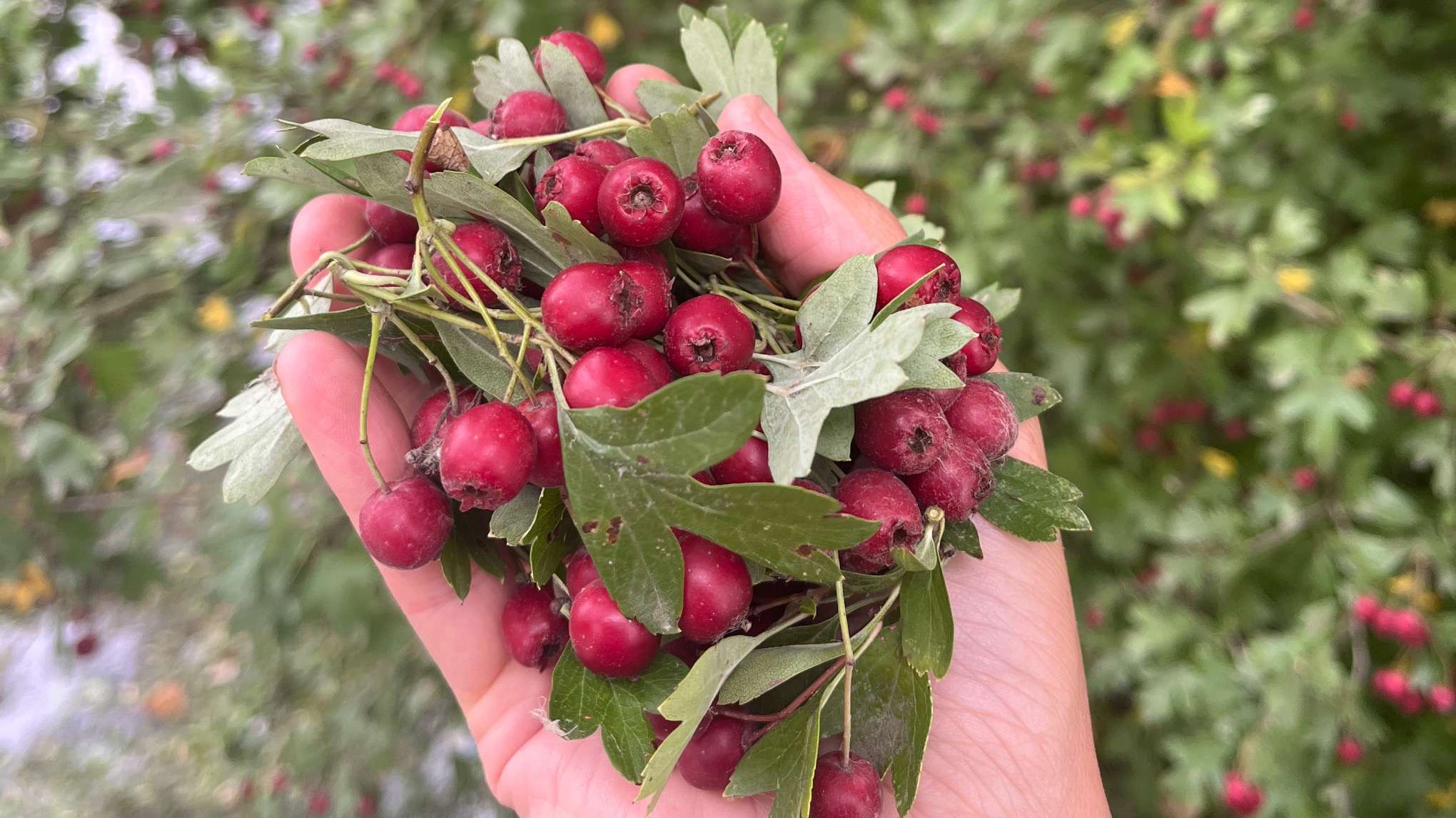 Vrouwencirkel met Sara & Emilie