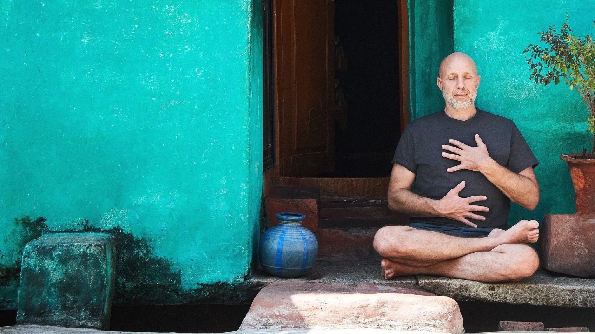STAGE entier du 30 janvier au 1 février - Ashtanga Yoga avec Cyril Lagel