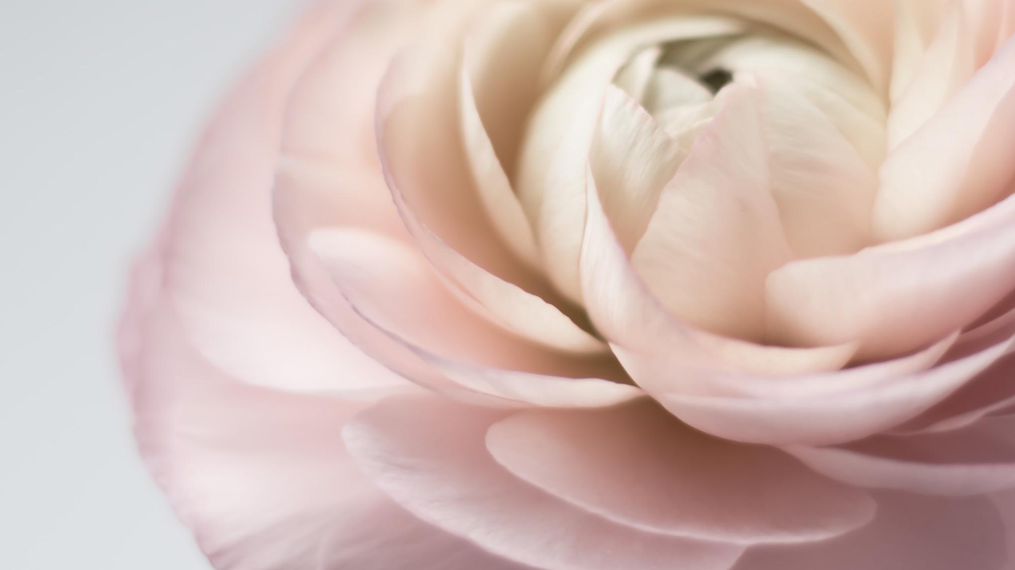 ANUSARA® YOGA RETREAT Pfingsten 2026