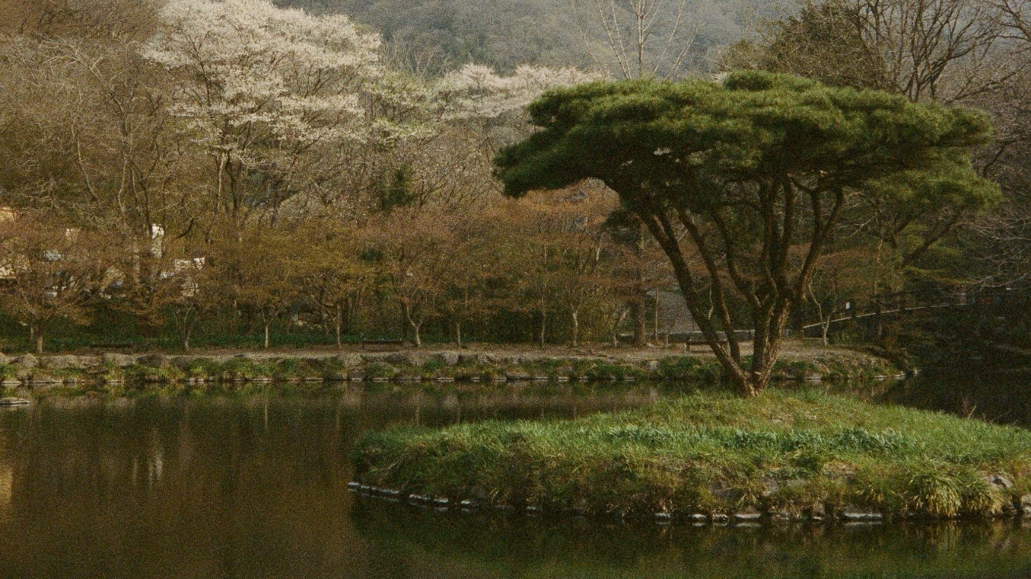 Meditacijų ir kvėpavimo praktikų diena studijoje (tyloje)