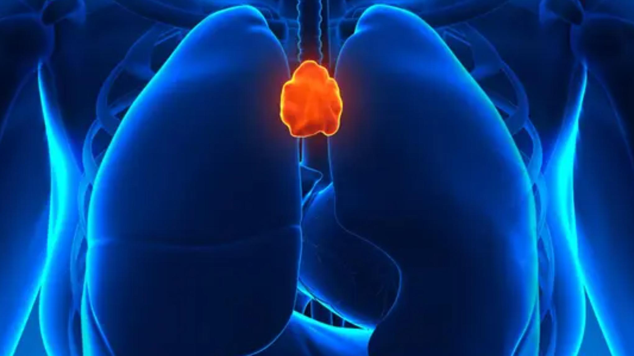 Atelier - Le Yoga du thymus