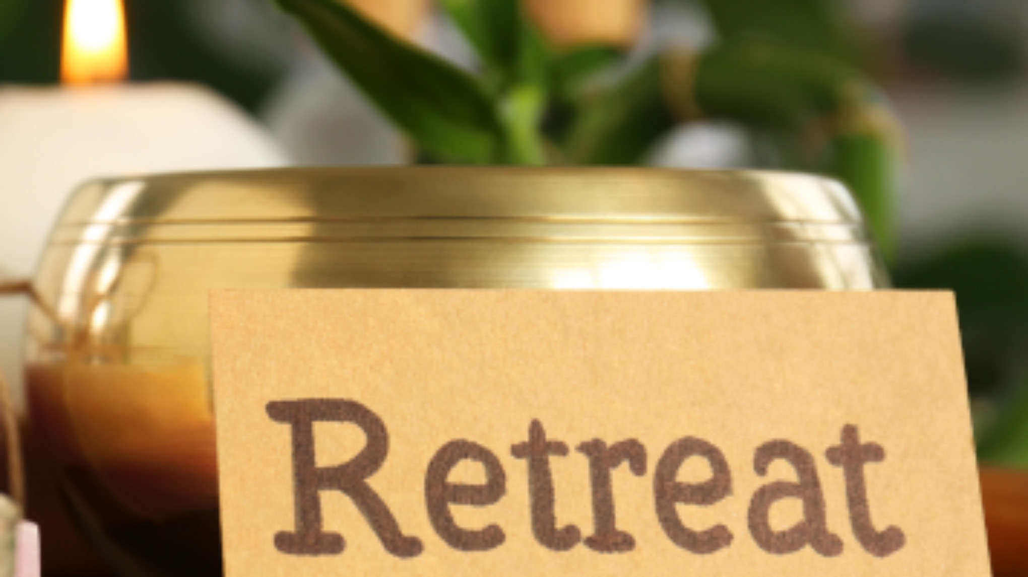 One day retreat: Winterwende - Een dag om te vertragen en te voelen.