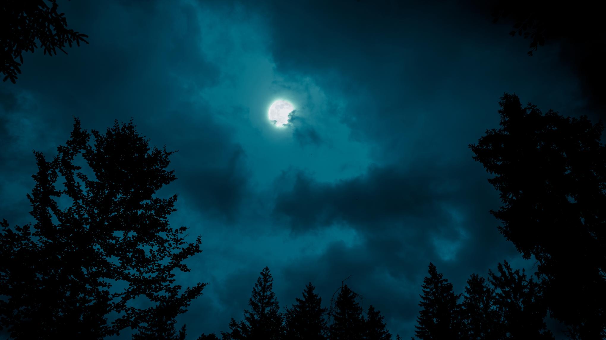 Workshop: Yin Yoga, Wintersonnenwende & Rauhnächte