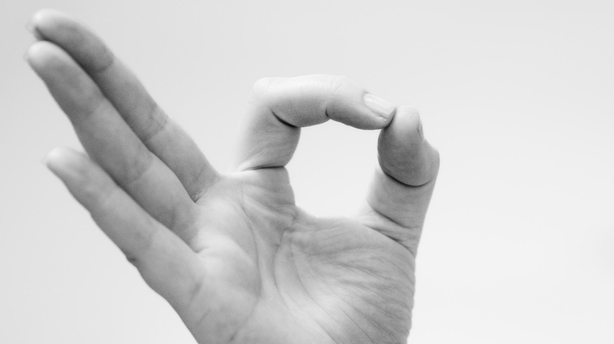 Ontwaken in de lente - workshop reeks LENTE