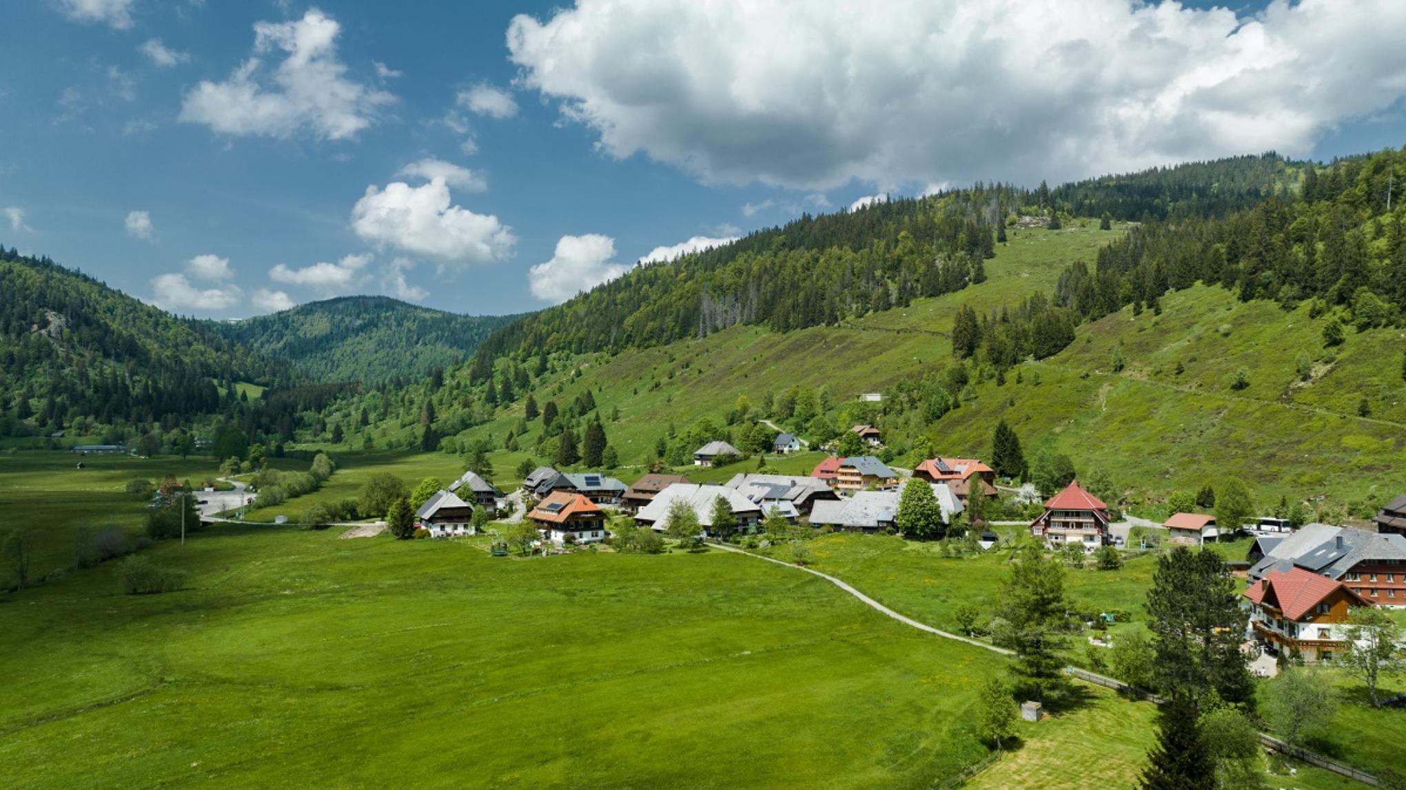 FRÜHLINGS-RETREAT IM SCHWARZWALD