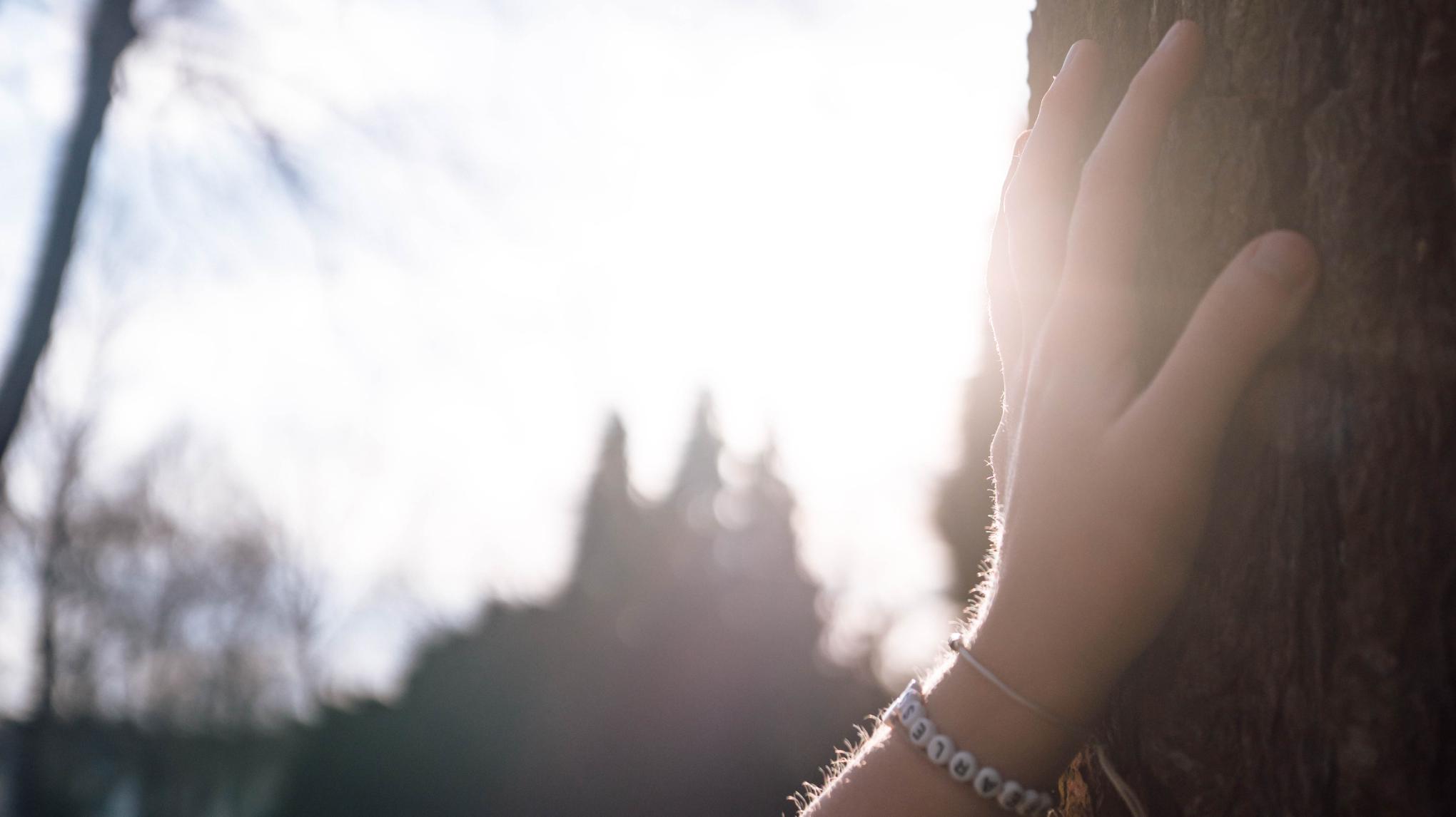 Vision Board Workshop 2026 - Eine Reise zu deiner Klarheit & Kraft