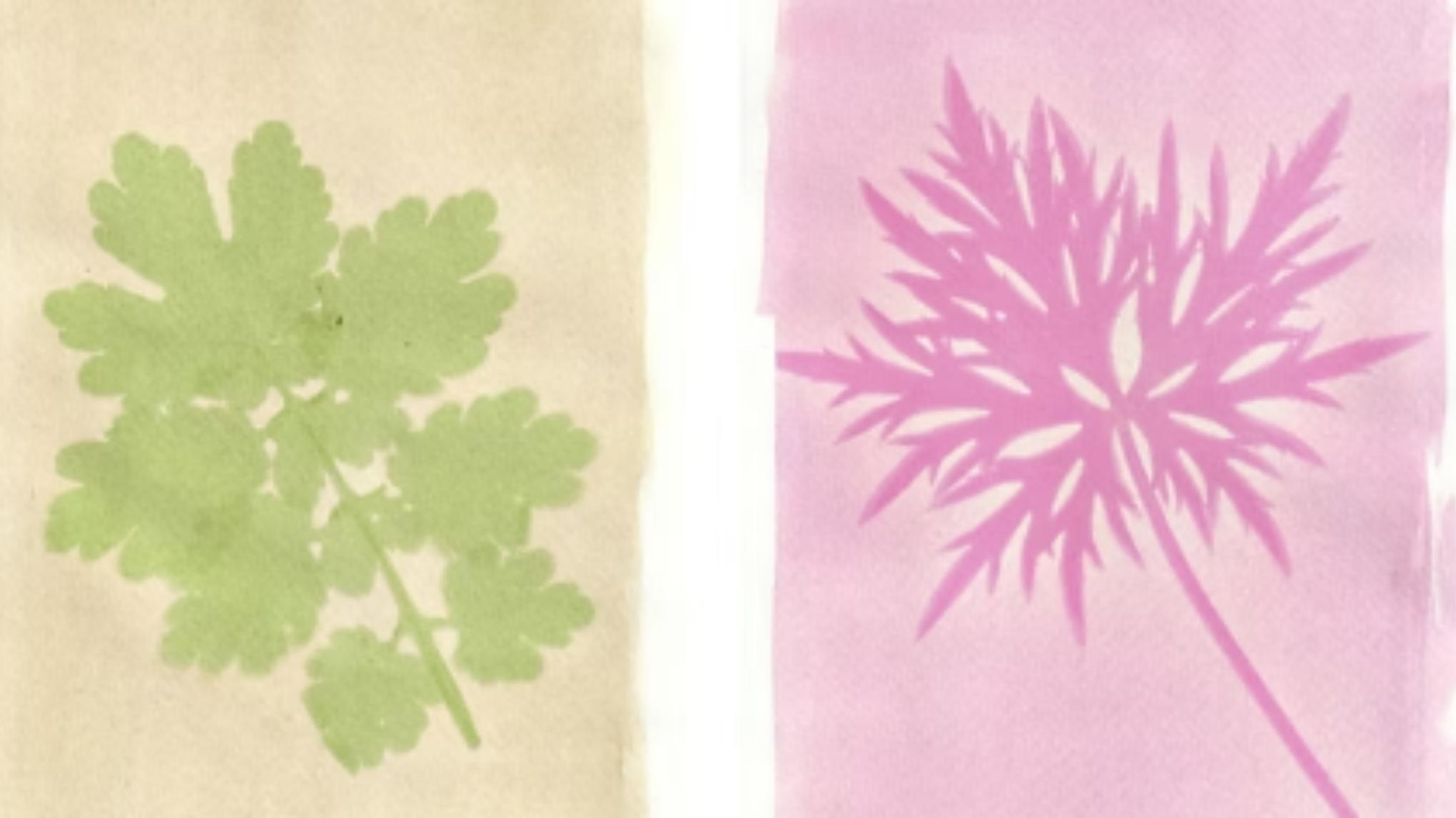 Camp de printemps enfant