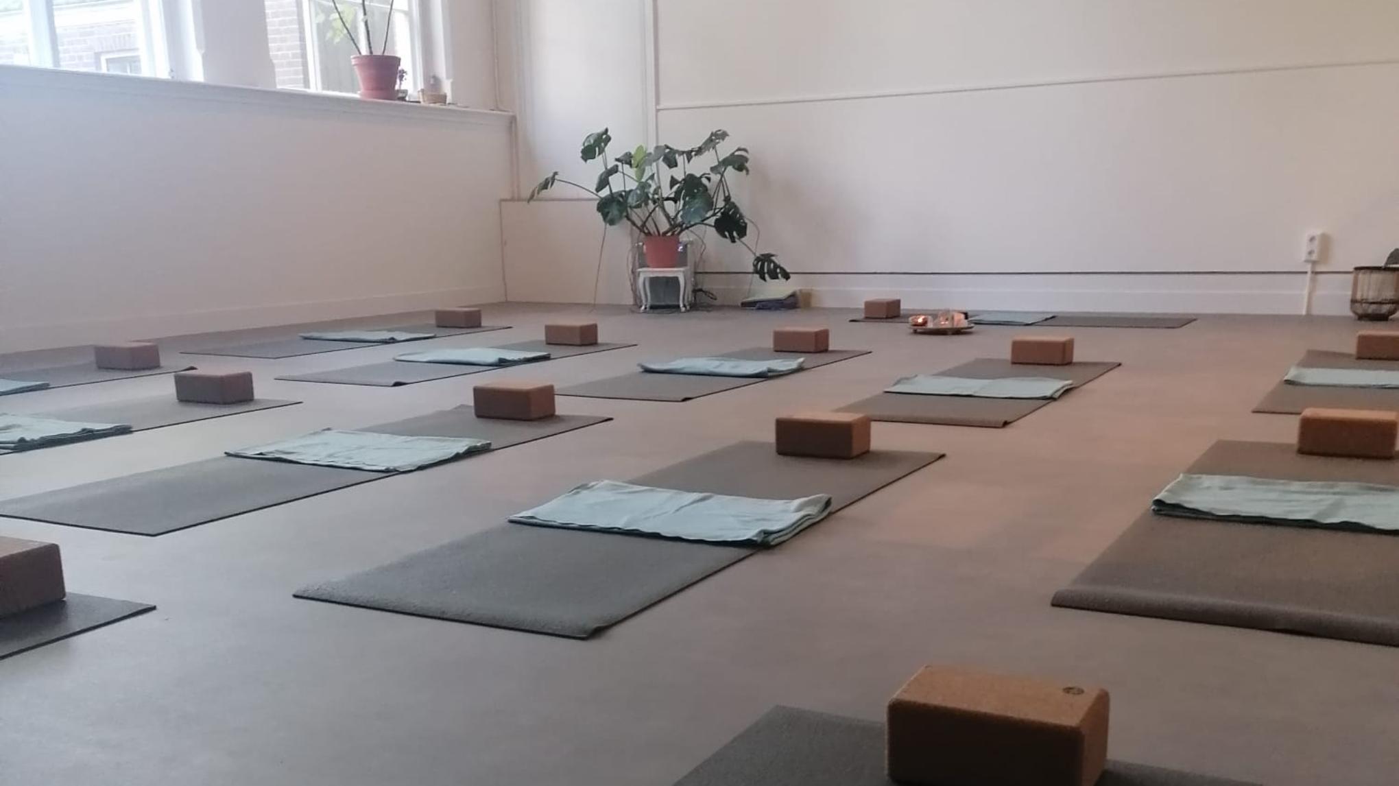 Trauma Bewuste Opleiding (Middelburg, ZEELAND EDITIE)