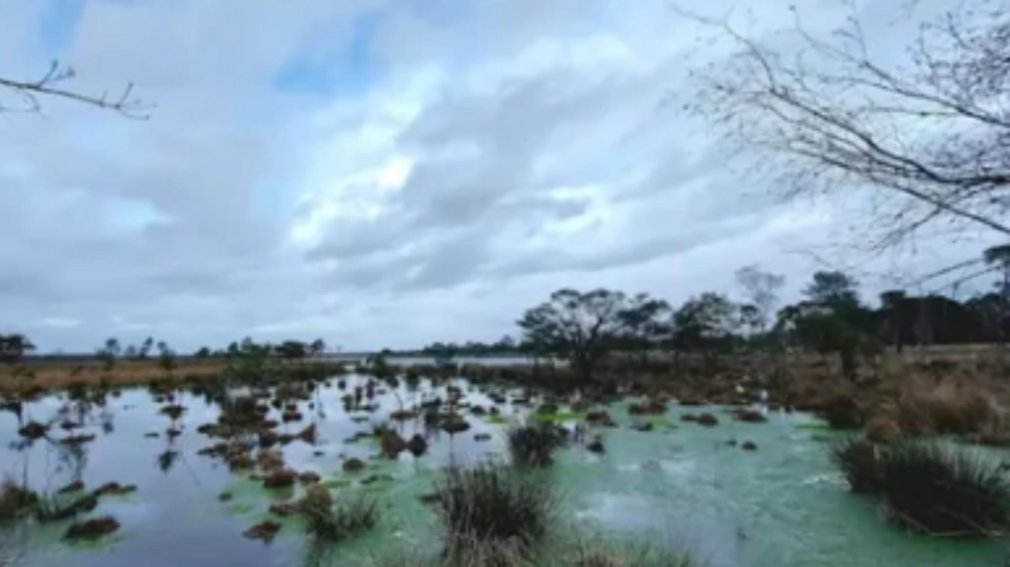 1-daags Winter retreat 'Back to (your own) nature'