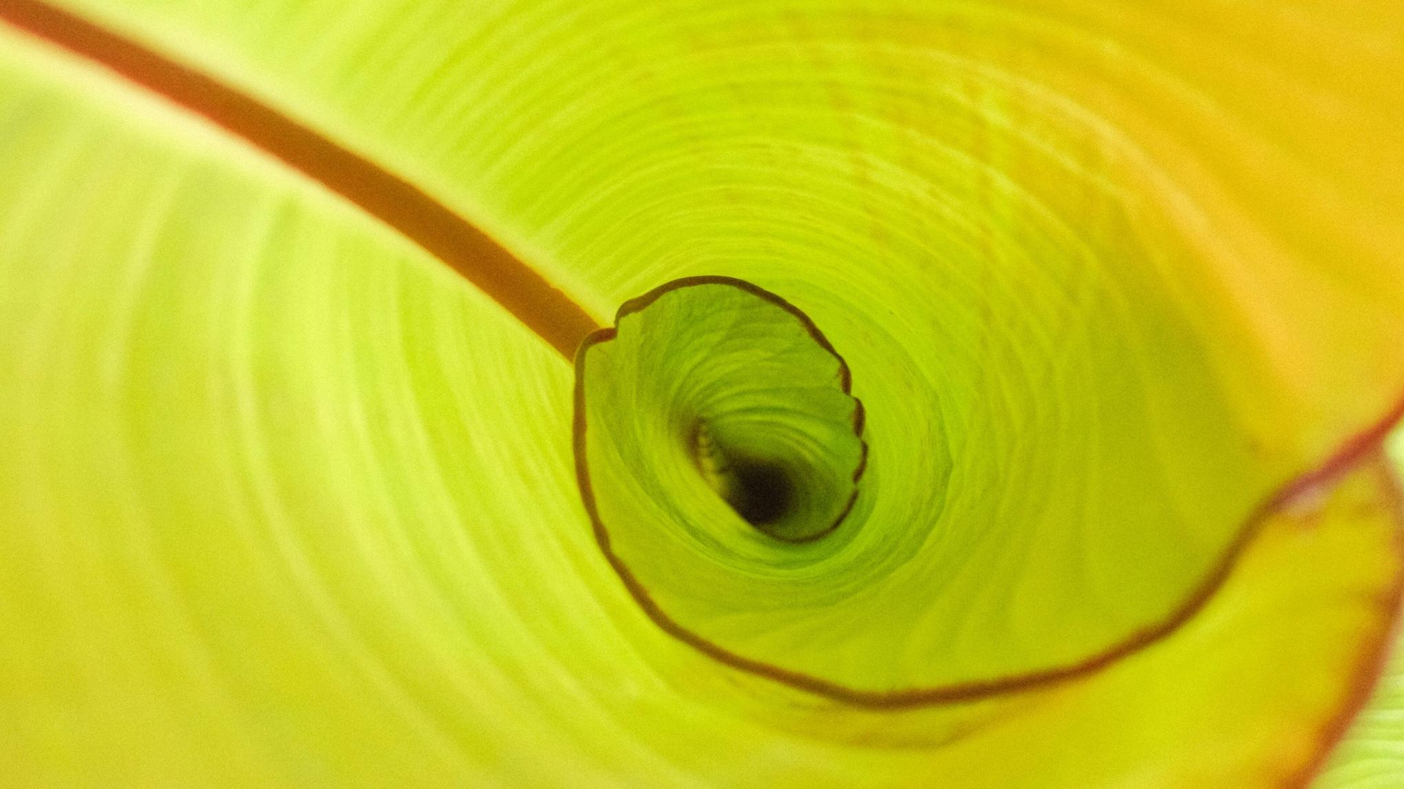 Tages-Seminar "Schoßraum" (mit Marie Burger & Martina Seidler)