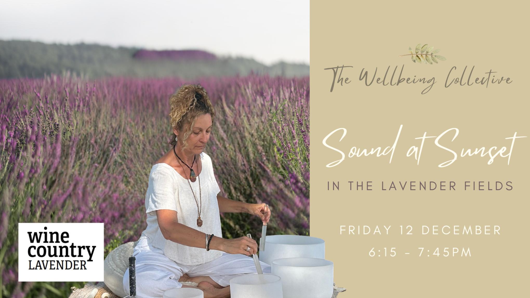 Sound at Sunset in the Lavender Fields