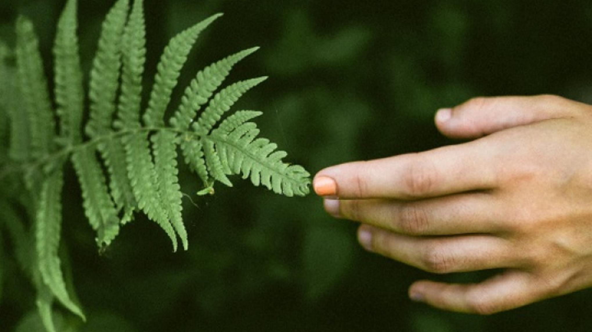 Comprendiendo el Poder de la Sensibilidad