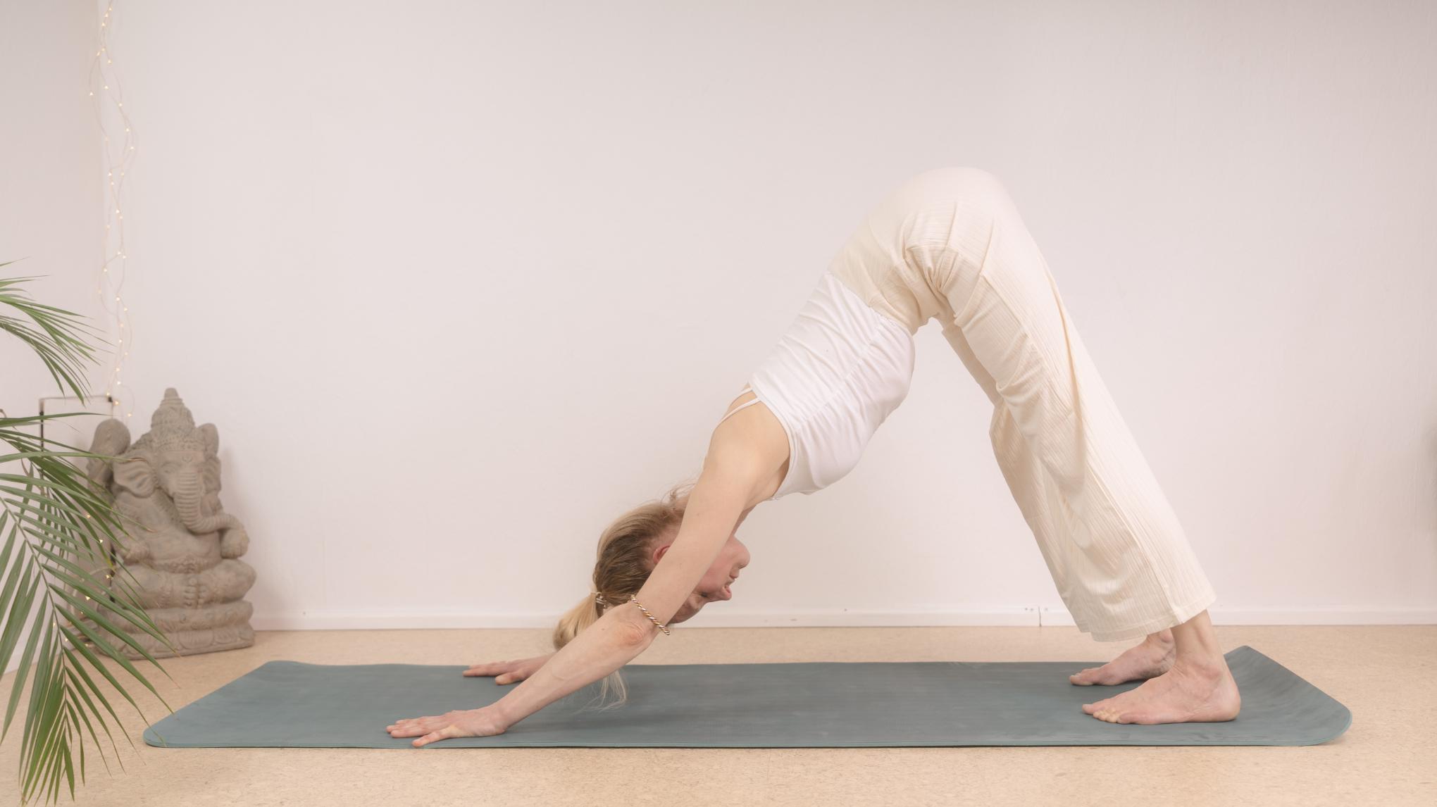 Online Ananda Yoga Klasse
