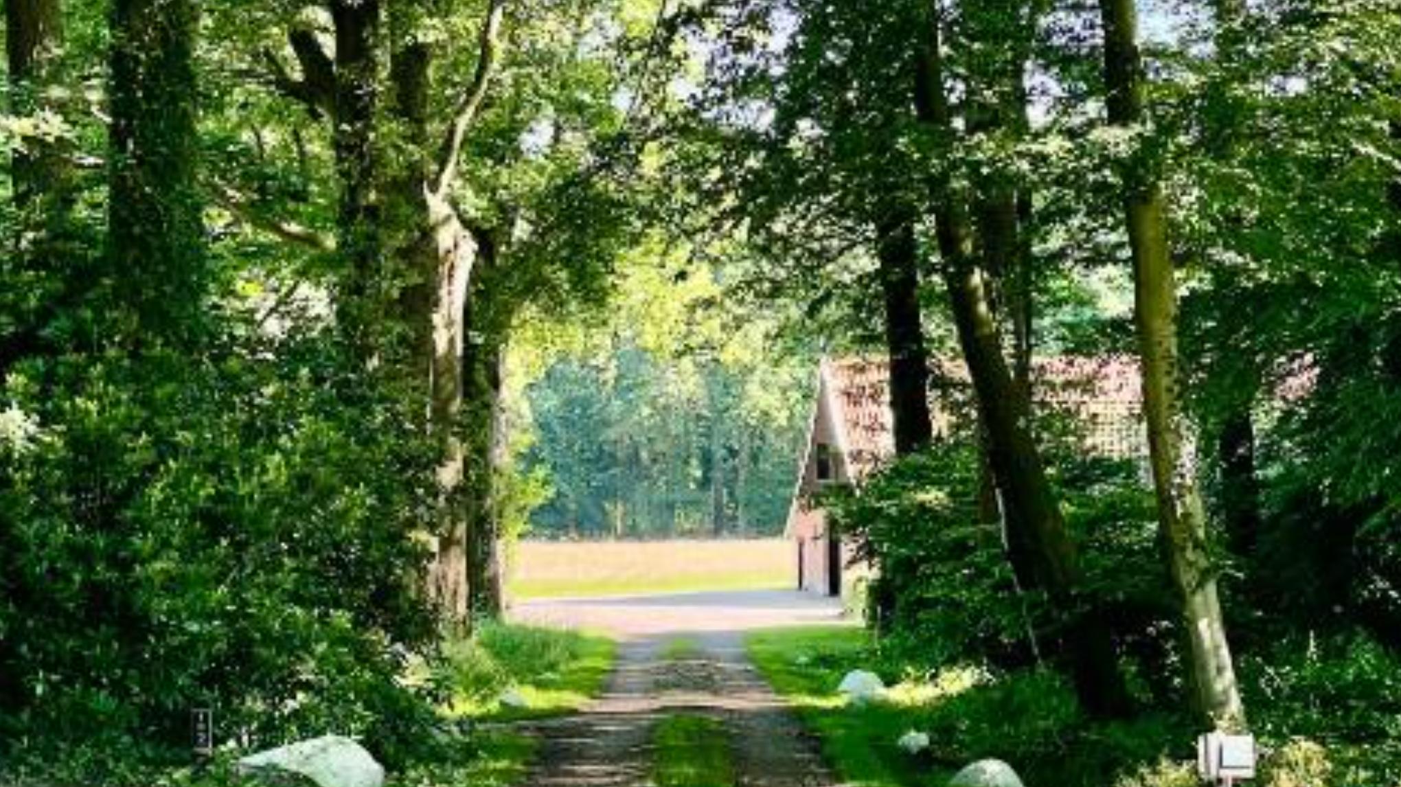 Yogadag de Lutte – nieuw jaar, nieuwe intenties