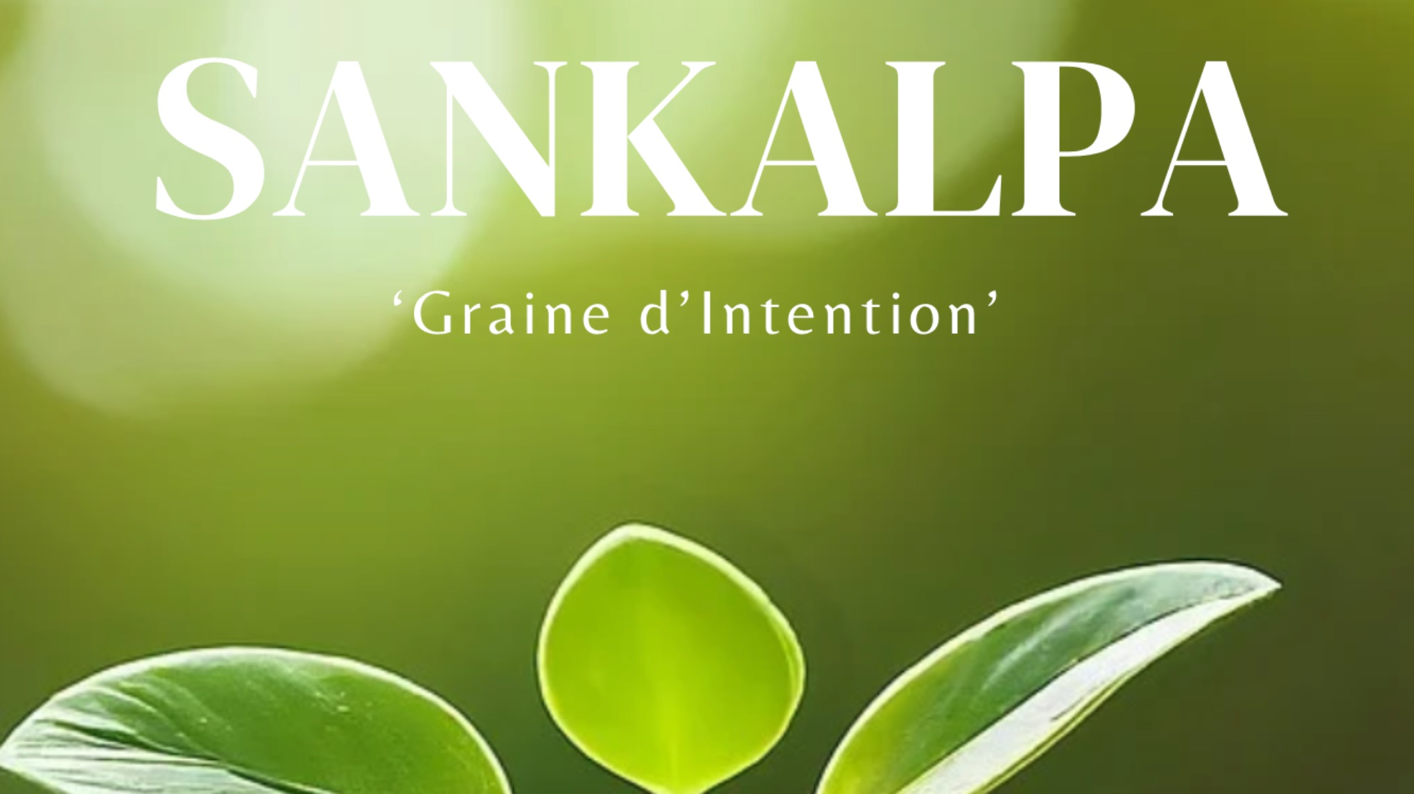2026 - SANKALPA 'l'Intention Révélée'
