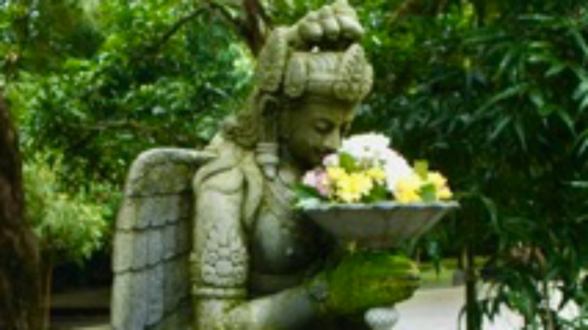 Embody the Winter - Een stille middag