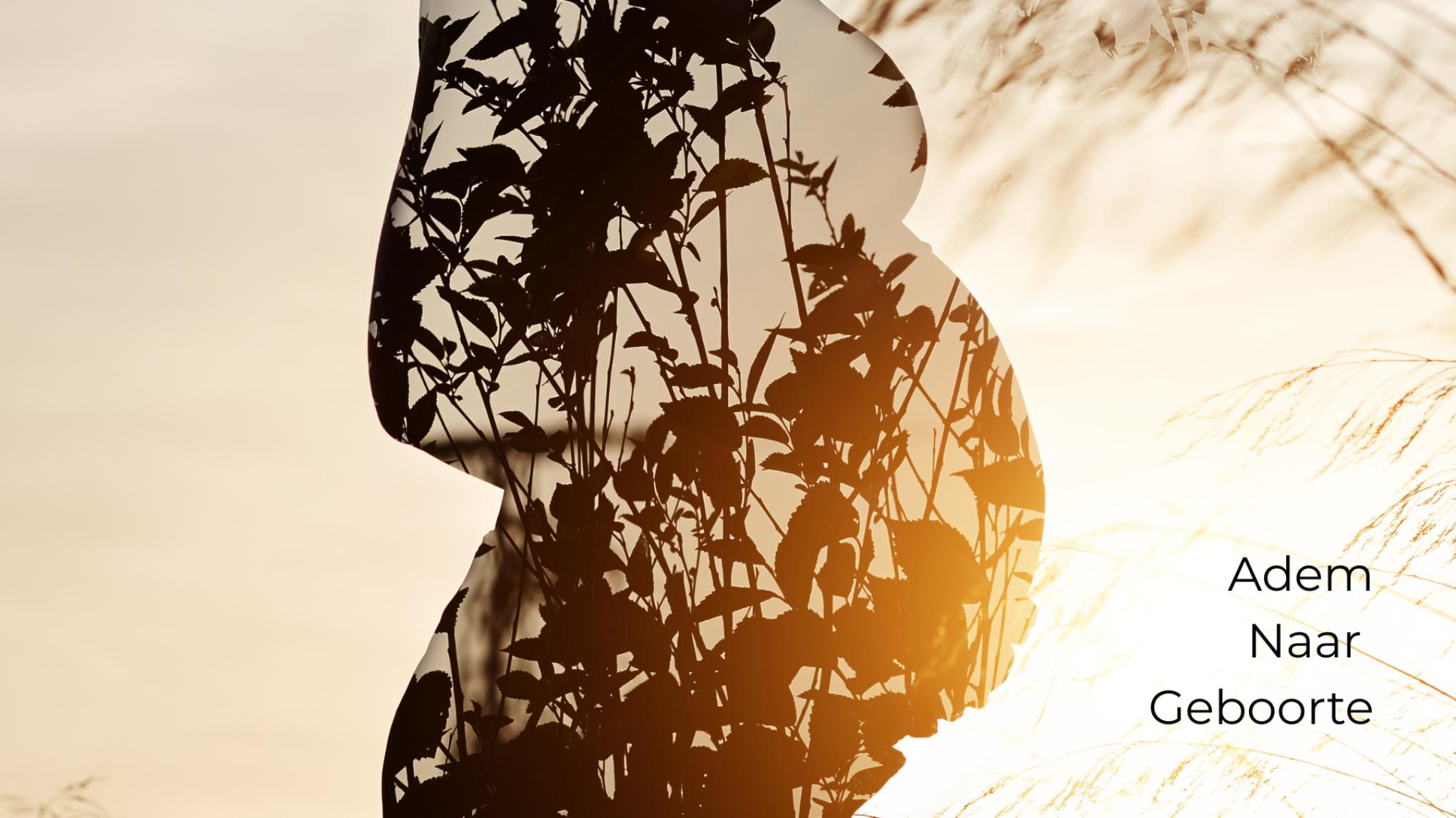 "Adem Naar Geboorte" zwangerschapsyoga