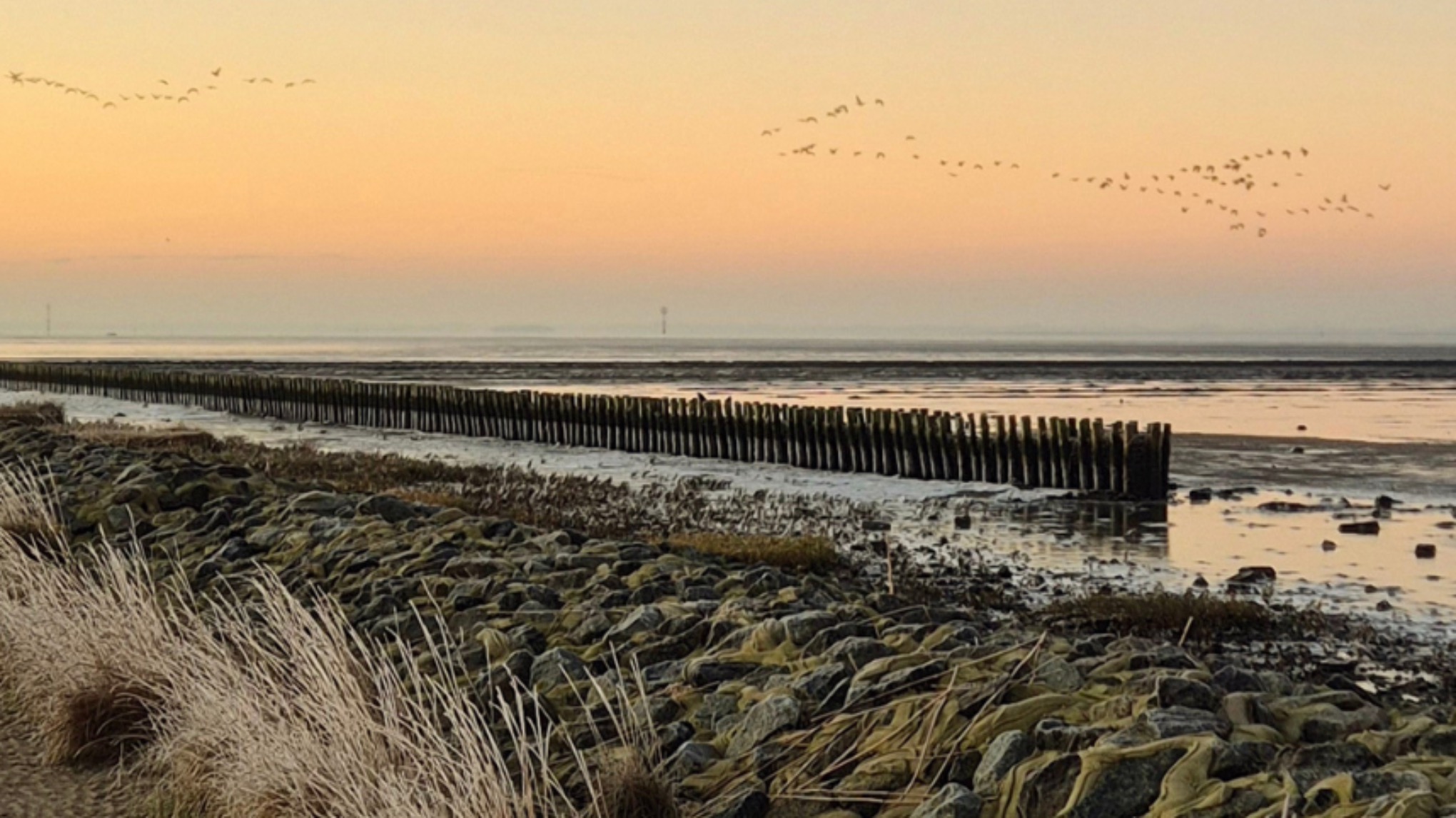Yoga & Stille am Meer