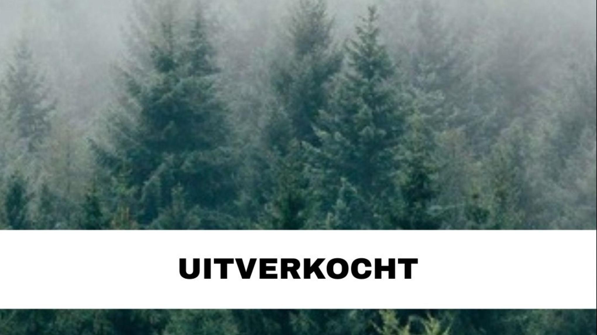 Yin XL 🎄Kersteditie