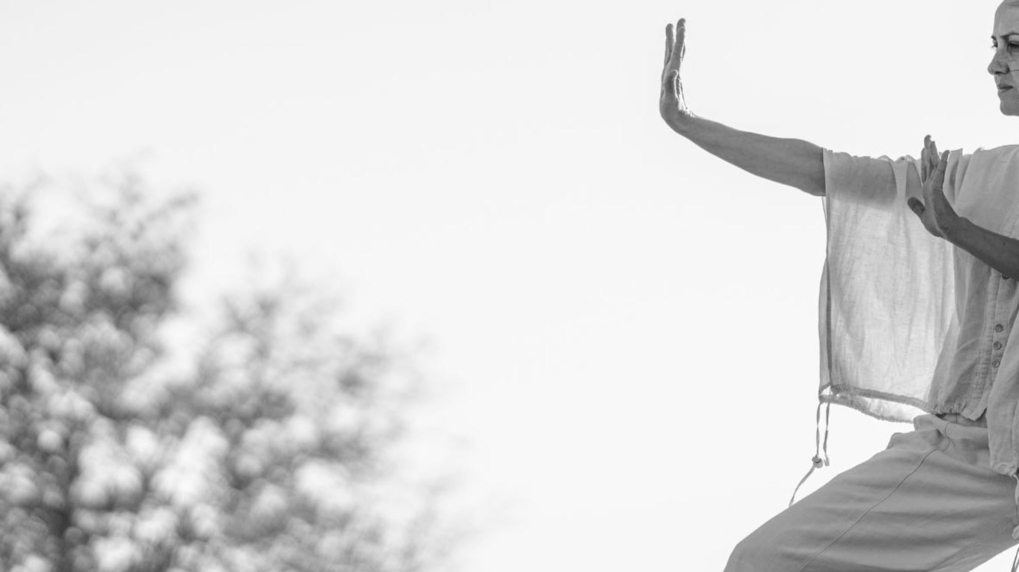 SPECIAL Taiji Introduction Class (Niccolo) - STUDIO 3