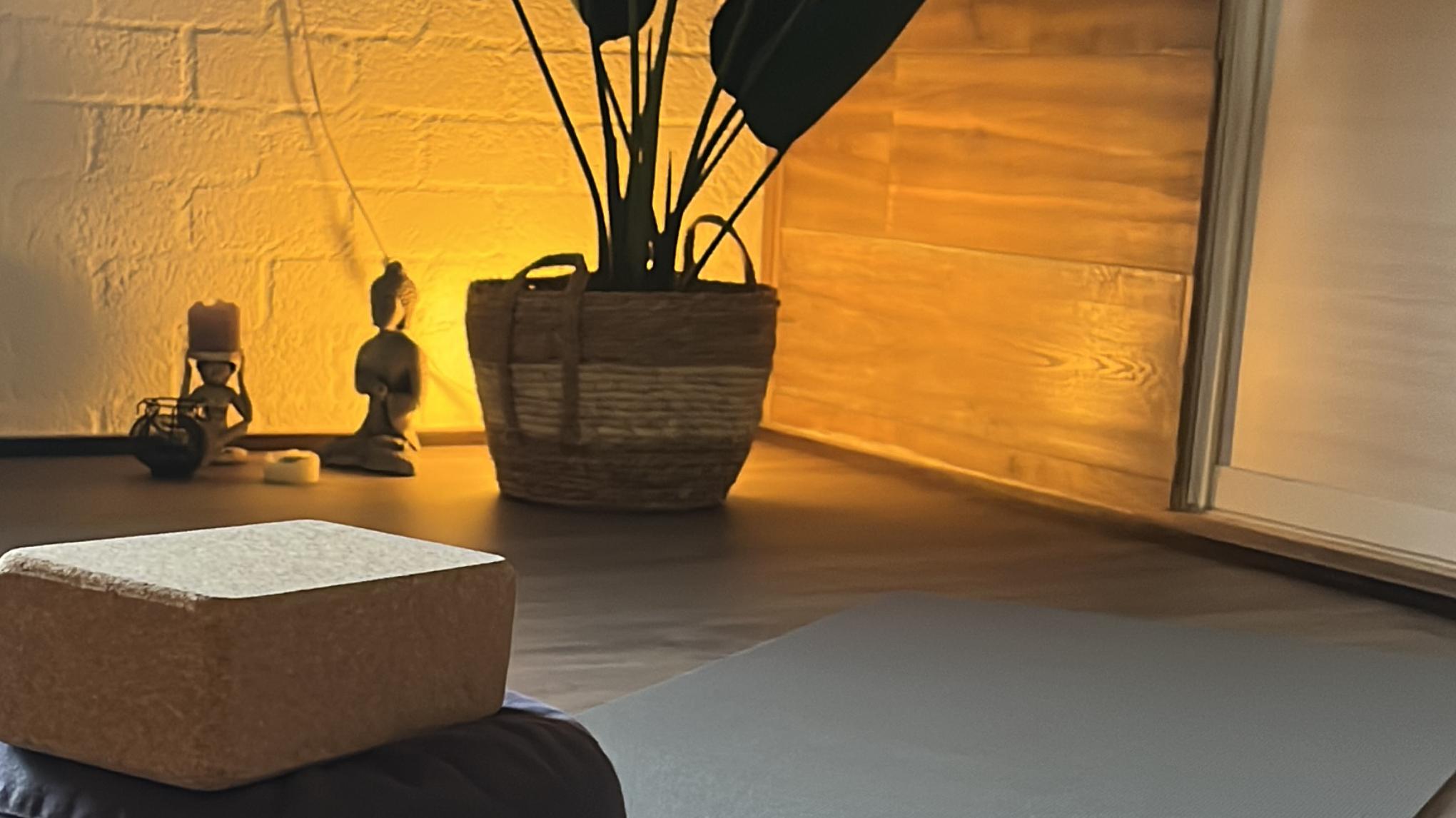 Yin Yoga & Tibetaanse klankschalen - Lente energie