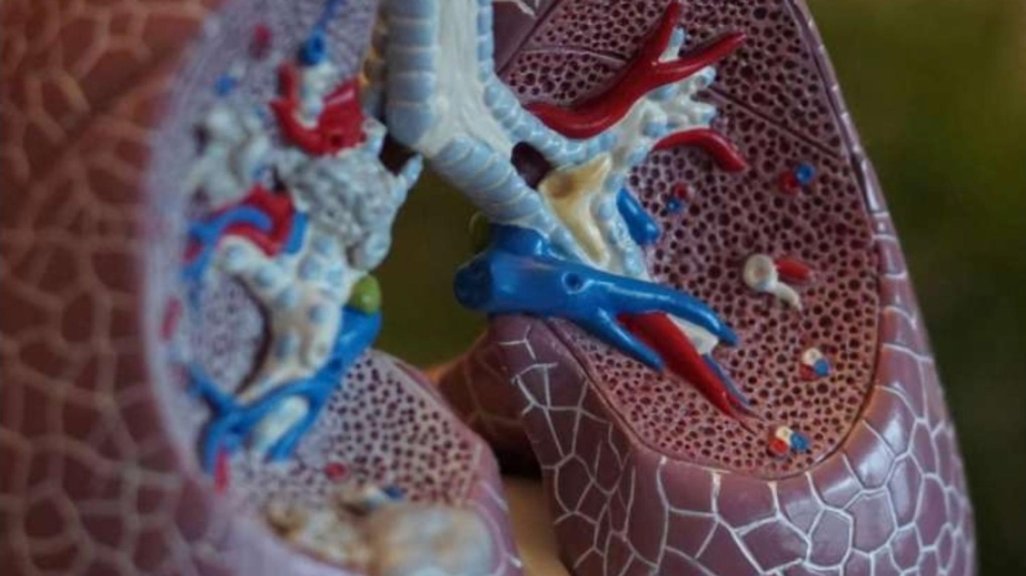 Training: Ontdek de kracht van Adem