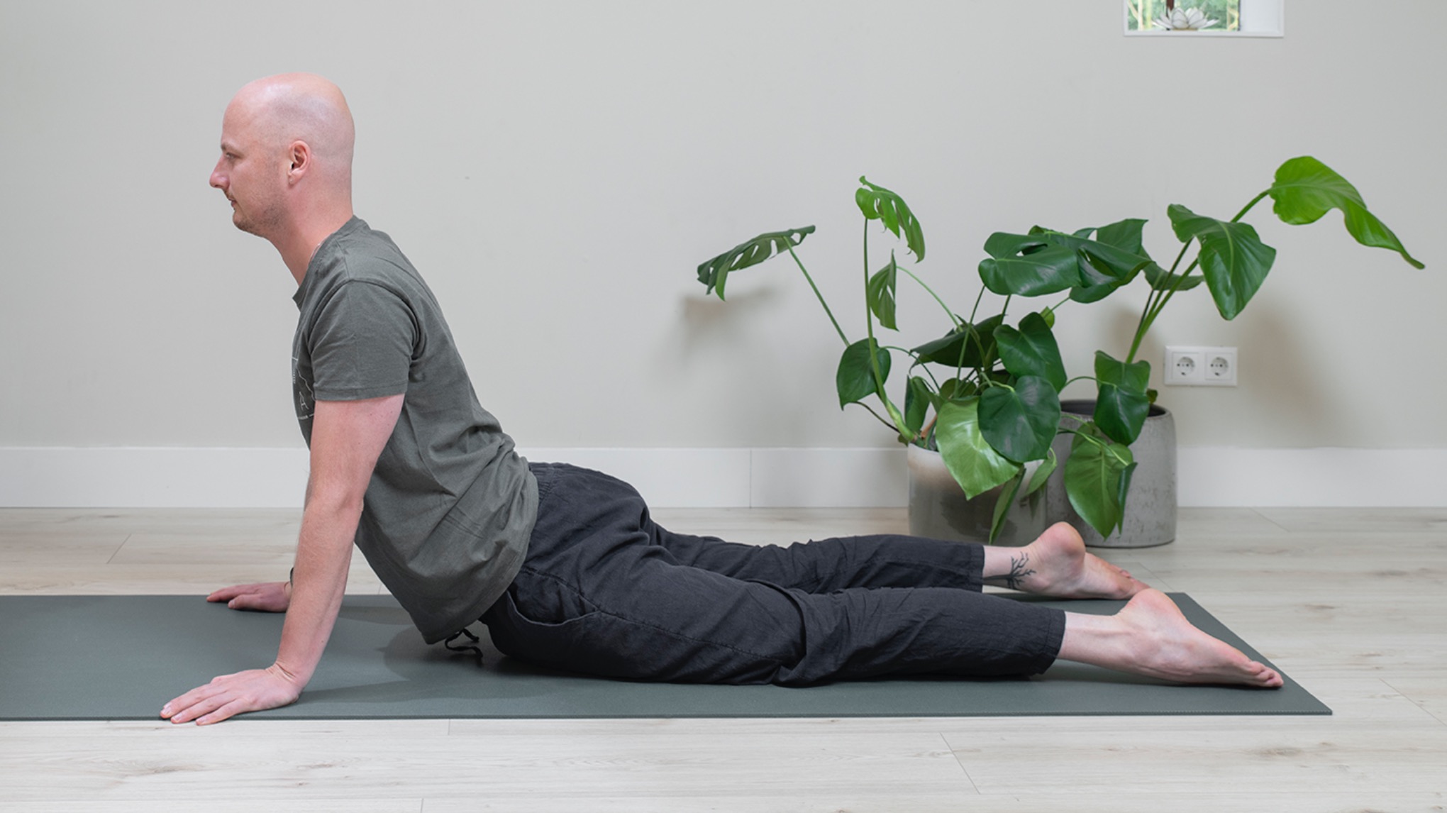 Verdiepingsochtend:  Fascia & Yin --> in WINSUM