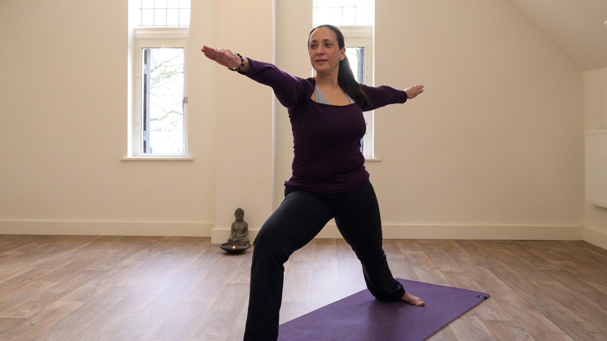 XL les: After X-mas reset SPECIAL: hatha en restoratieve/yin yoga