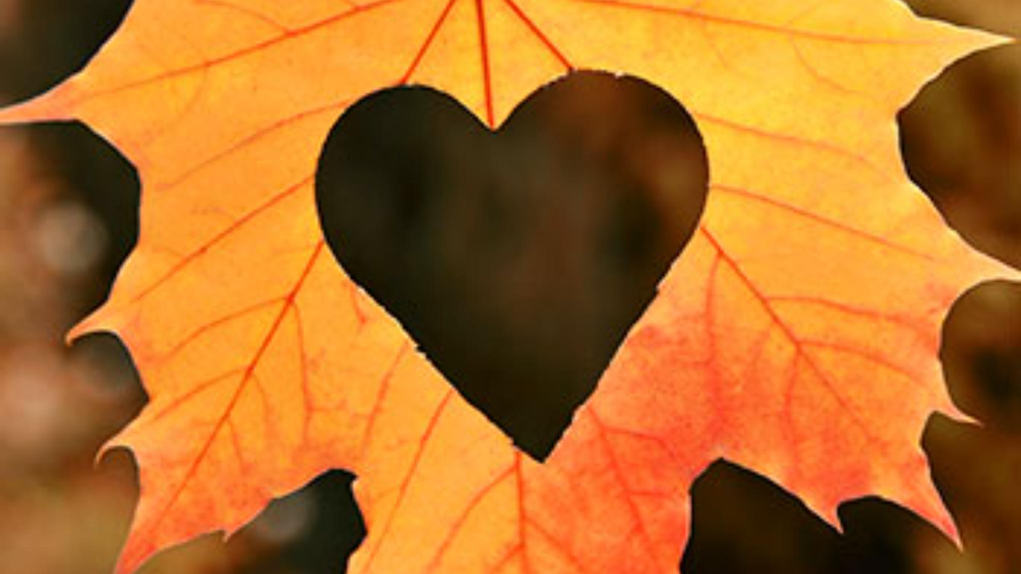 De kracht van loslaten - workshop reeks HERFST