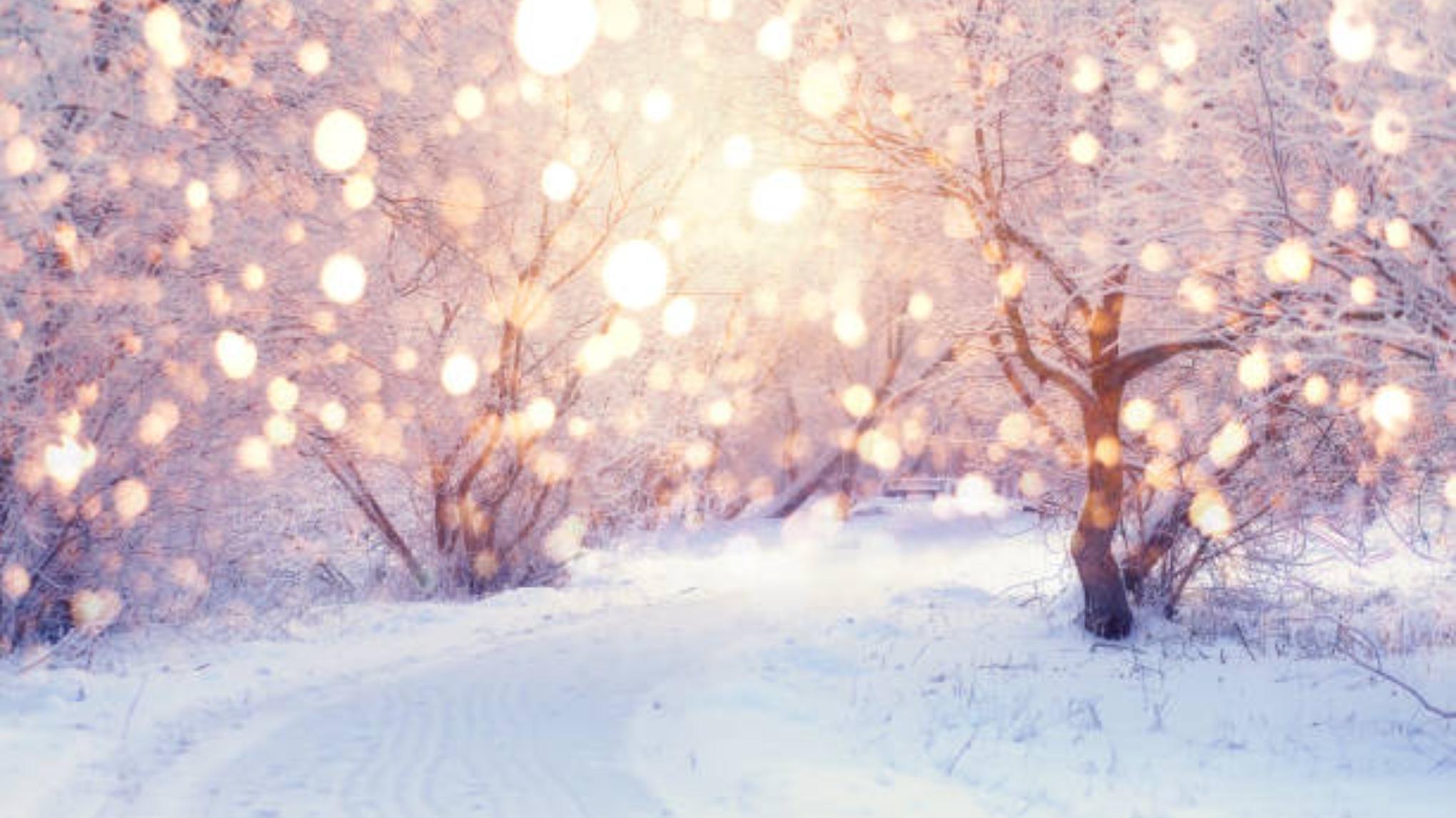 Breng je zenuwstelsel tot rust -workshop reeks WINTER