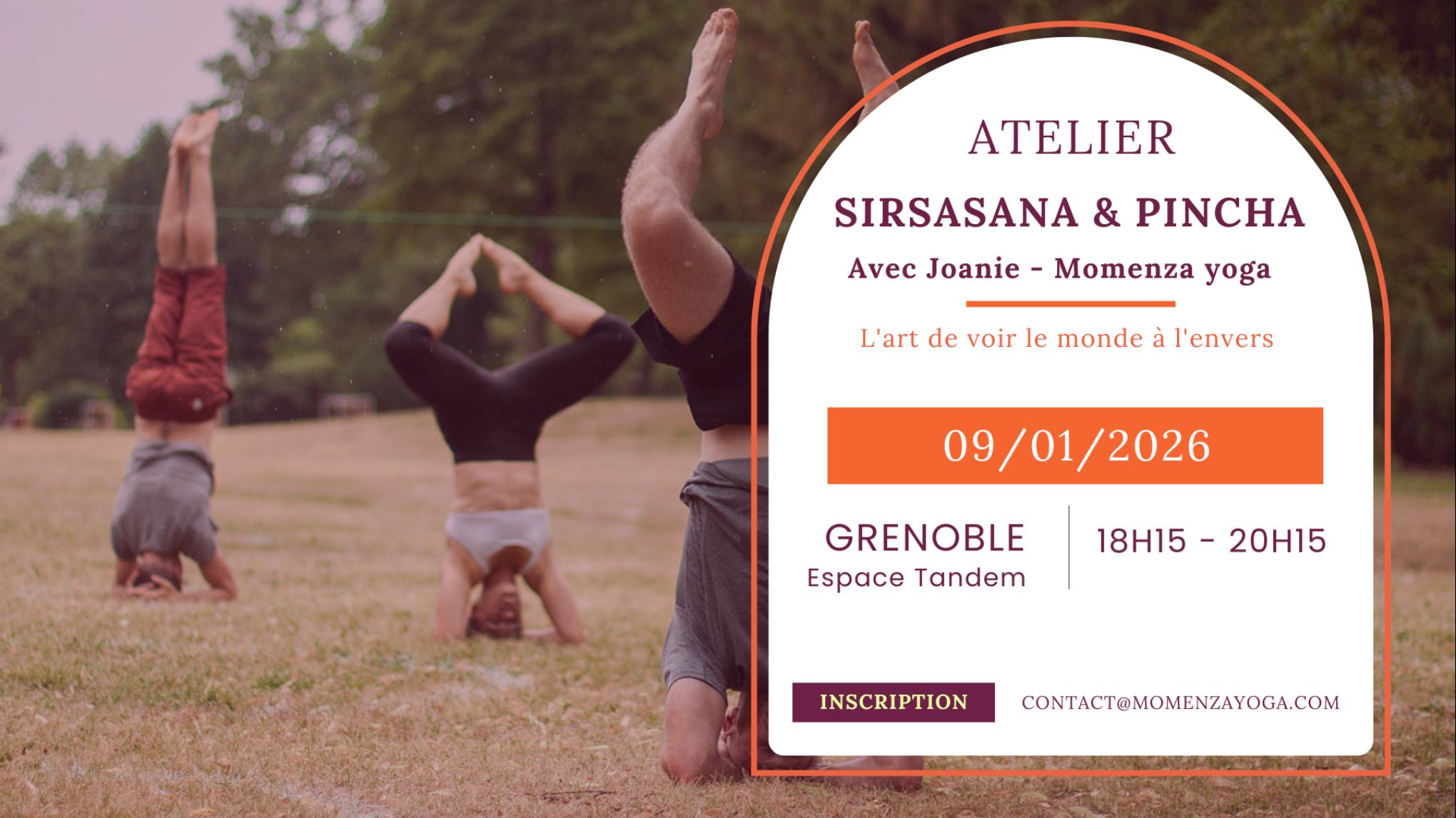 Atelier : sirsasana & pincha