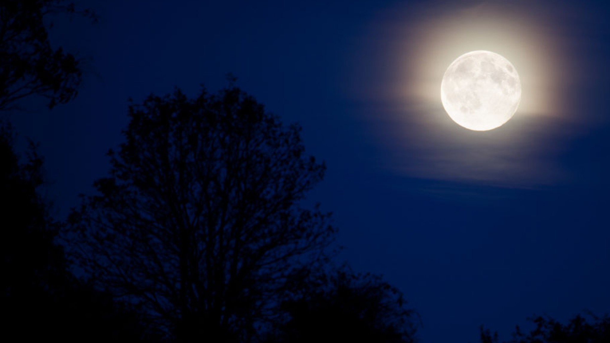 Full Moon Restorative Yoga with Julia Clarke