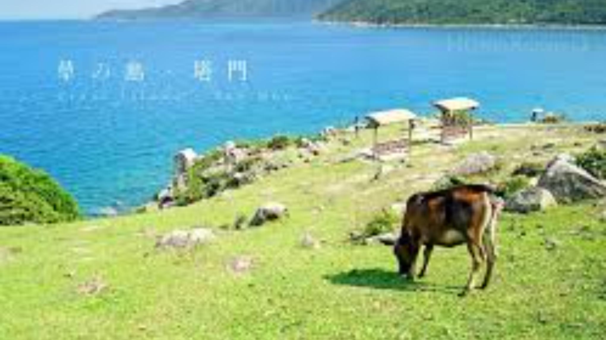 一年之計在塔門