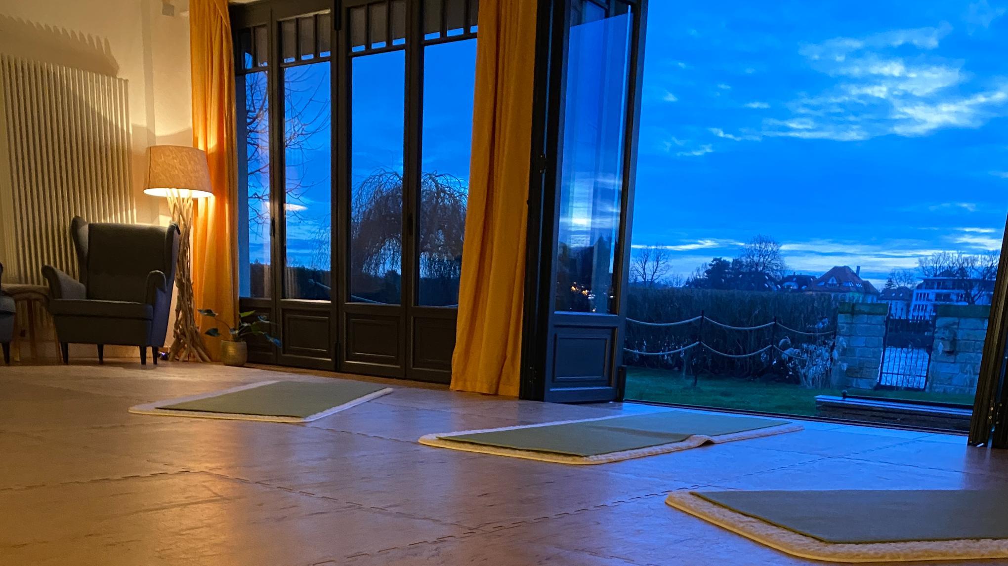 samyama - Integrale Yogameditation (Anmeldung per E-mail)